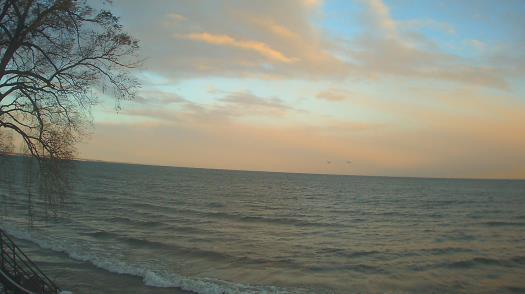 Weather camera view of Forest Lawn Beach.
