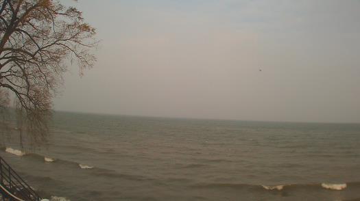 Weather camera view of Forest Lawn Beach.