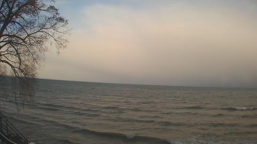 Weather camera view of Forest Lawn Beach.