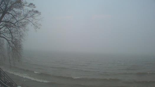 Weather camera view of Forest Lawn Beach.