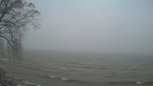 Weather camera view of Forest Lawn Beach.