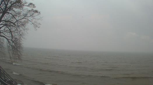 Weather camera view of Forest Lawn Beach.