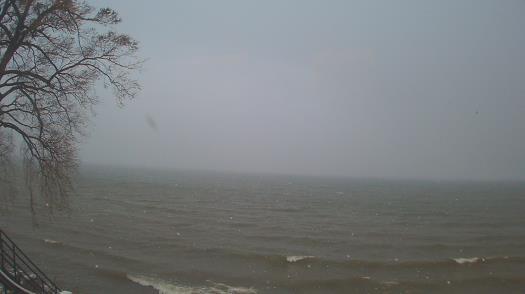 Weather camera view of Forest Lawn Beach.