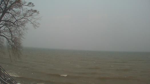 Weather camera view of Forest Lawn Beach.