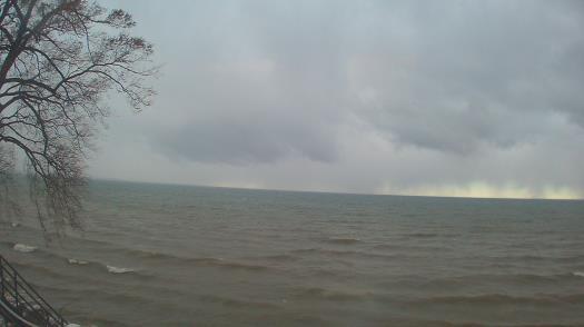 Weather camera view of Forest Lawn Beach.