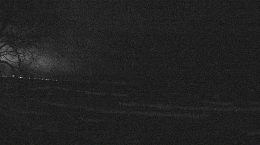 Weather camera view of Forest Lawn Beach.