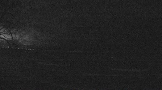 Weather camera view of Forest Lawn Beach.