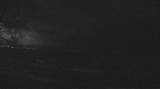 Weather camera view of Forest Lawn Beach.