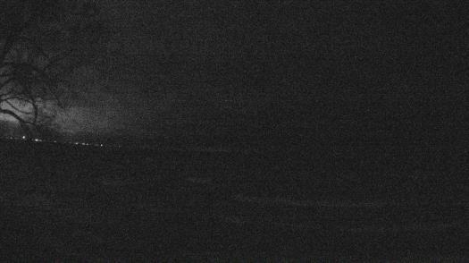 Weather camera view of Forest Lawn Beach.