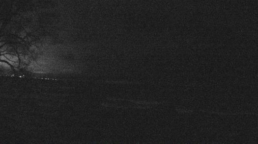 Weather camera view of Forest Lawn Beach.