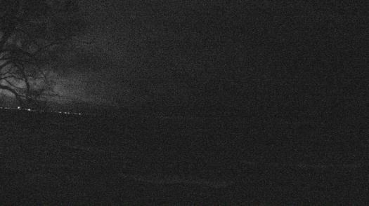 Weather camera view of Forest Lawn Beach.