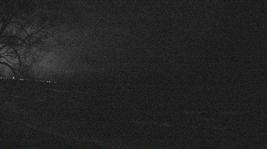 Weather camera view of Forest Lawn Beach.