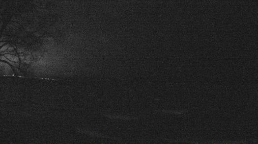 Weather camera view of Forest Lawn Beach.