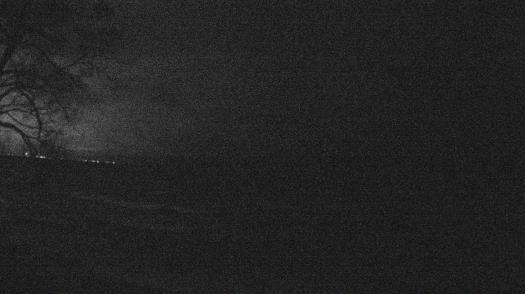 Weather camera view of Forest Lawn Beach.