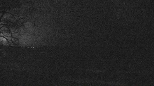 Weather camera view of Forest Lawn Beach.