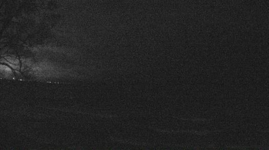 Weather camera view of Forest Lawn Beach.