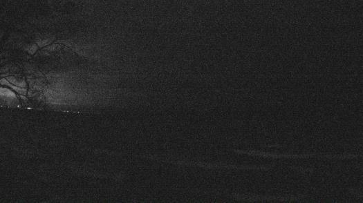 Weather camera view of Forest Lawn Beach.