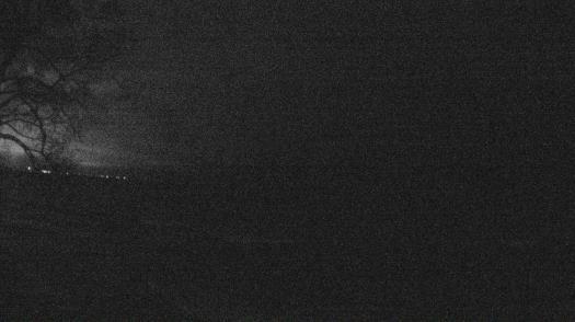 Weather camera view of Forest Lawn Beach.