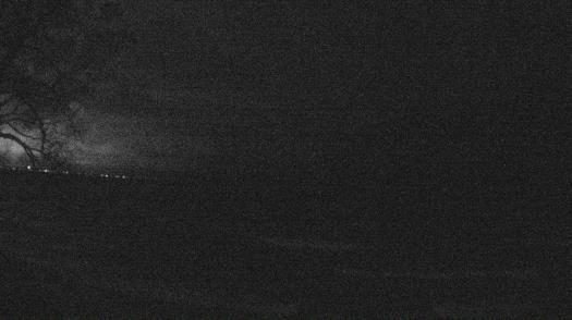 Weather camera view of Forest Lawn Beach.