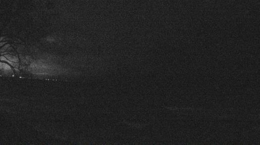 Weather camera view of Forest Lawn Beach.