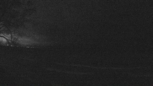 Weather camera view of Forest Lawn Beach.