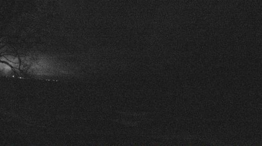 Weather camera view of Forest Lawn Beach.