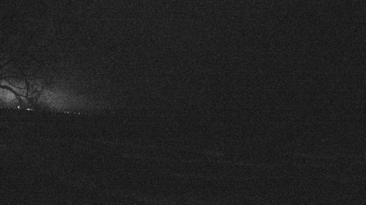 Weather camera view of Forest Lawn Beach.