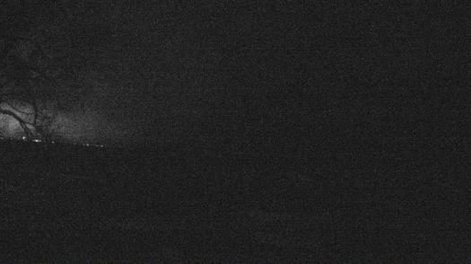 Weather camera view of Forest Lawn Beach.