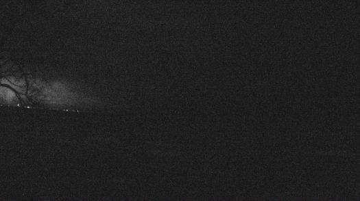 Weather camera view of Forest Lawn Beach.