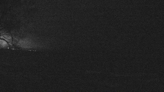 Weather camera view of Forest Lawn Beach.