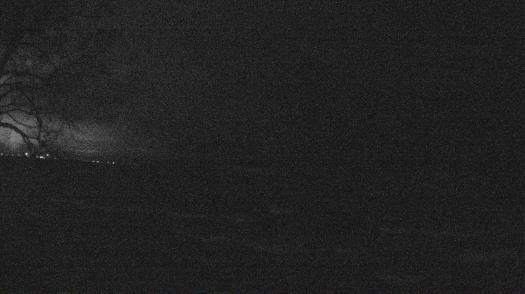 Weather camera view of Forest Lawn Beach.