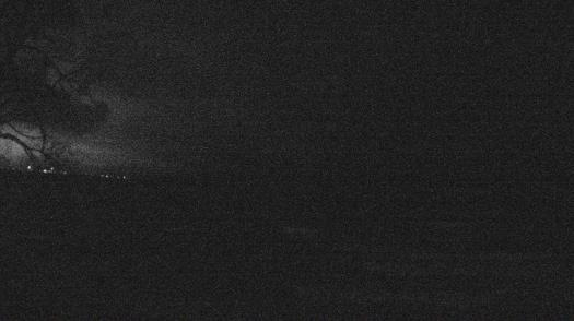 Weather camera view of Forest Lawn Beach.