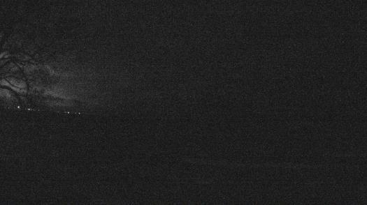 Weather camera view of Forest Lawn Beach.