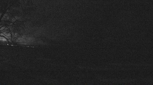 Weather camera view of Forest Lawn Beach.