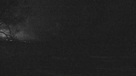 Weather camera view of Forest Lawn Beach.