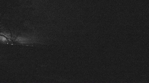 Weather camera view of Forest Lawn Beach.