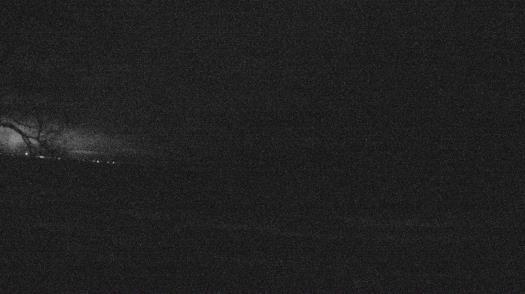 Weather camera view of Forest Lawn Beach.