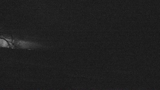 Weather camera view of Forest Lawn Beach.