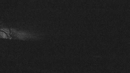 Weather camera view of Forest Lawn Beach.