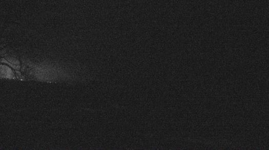 Weather camera view of Forest Lawn Beach.