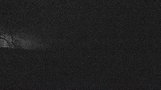 Weather camera view of Forest Lawn Beach.