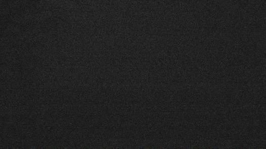 Weather camera view of Forest Lawn Beach.