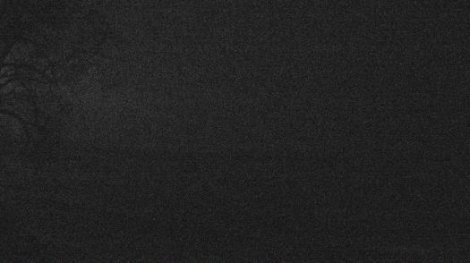 Weather camera view of Forest Lawn Beach.