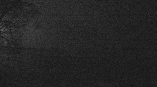 Weather camera view of Forest Lawn Beach.