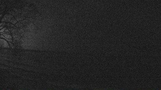 Weather camera view of Forest Lawn Beach.