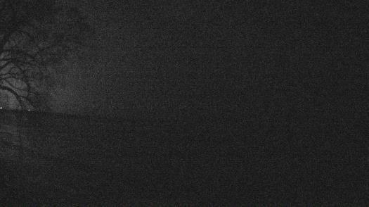 Weather camera view of Forest Lawn Beach.