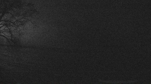 Weather camera view of Forest Lawn Beach.