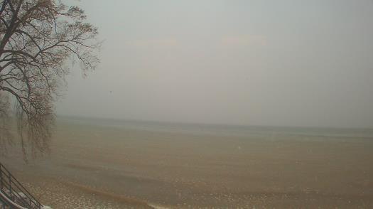 Weather camera view of Forest Lawn Beach.