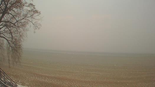 Weather camera view of Forest Lawn Beach.