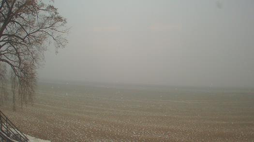 Weather camera view of Forest Lawn Beach.